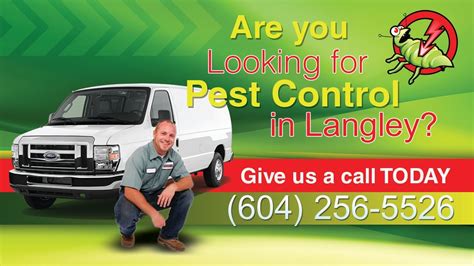 You will get guarantee services from most pest control companies in singapore. Pest Control Langley | (604)256-5526 | 24 Hour Emergency ...
