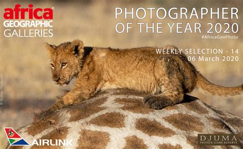 Photographer Of The Year 2020 Weekly Selection Week 14 Gallery 1 Africa Geographic