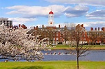 Harvard University Boston: informazioni utili e cosa visitare