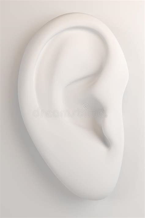 19243 Human Ear Stock Photos Free And Royalty Free Stock Photos From
