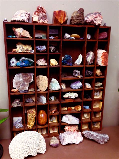 My Rock Collection At The Lab Rock Collection Display Mineral
