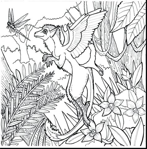 Rainforest Plants Coloring Pages At Free Printable