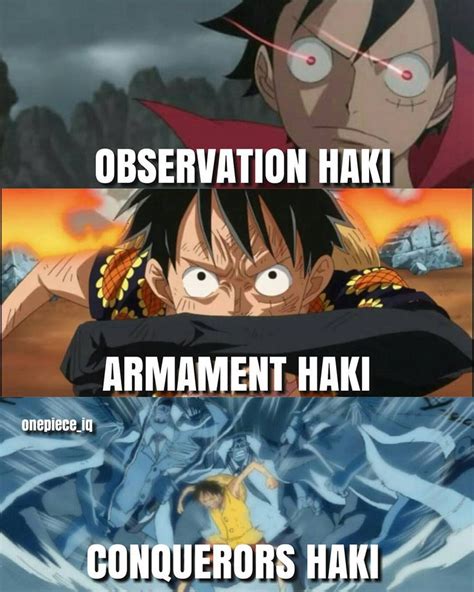 One Piece Observation Haki Armament Haki Conquerors Haki
