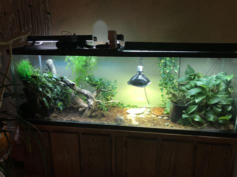 Indoor Turtle Tank