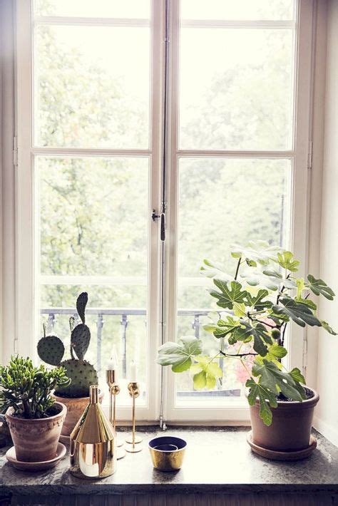 Make A Beautiful Home With 25 Flowers On Window Sills Ideas Plants