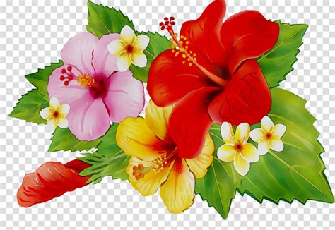 Get the best deals on flower wall wedding decorations. Hibiscus clipart bouquet, Hibiscus bouquet Transparent FREE for download on WebStockReview 2021