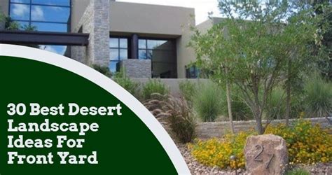 30 Best Desert Landscape Ideas For Front Yard Igra World