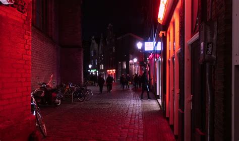 Amsterdam Red Light District Dos And Donts Etiquete