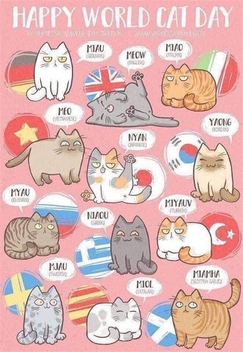 Maneki Neko Cat Rescue On Twitter World Cat Day Cat Day