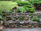 Rocks For Garden Wall Images