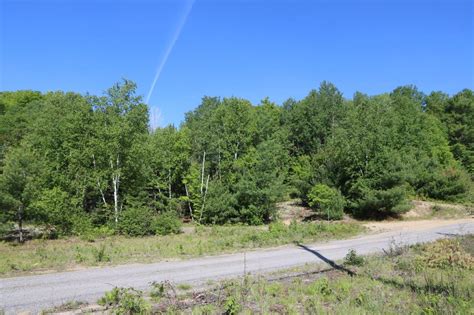 Forest Land For Sale In Hastings Ontario Dignam Land