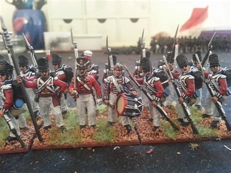 Napoleonic Wargaming Blog February 2014