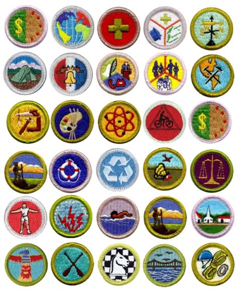 Eagle Scout Merit Badges Edible Image Boy Scouts Cake Decoration