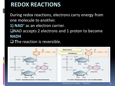 Redox reactions are the results of different electron affinities between atoms of different eletronegativities. Biological oxidation and oxidative phosphorylation