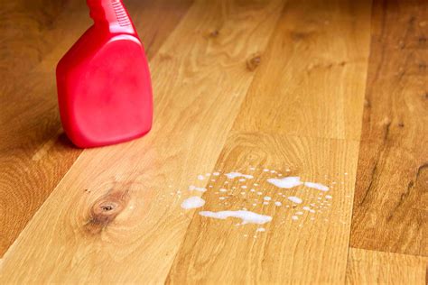 How To Get Cat Urine Odor Out Of Wood Floors