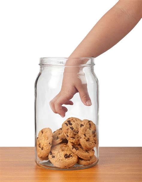 Too Many Hands In The Cookie Jar We Say No Functional Pathways Blog