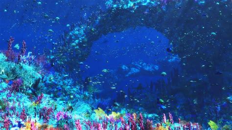 Underwater Ocean Hd Wallpapers Top Free Underwater Ocean Hd