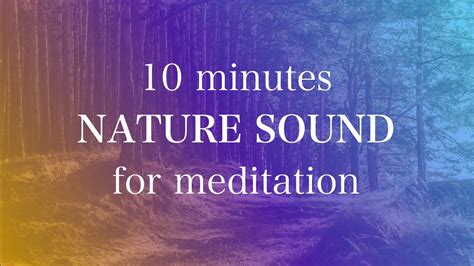 10 Minute Meditation Music Nature Sounds With Timer No Ads