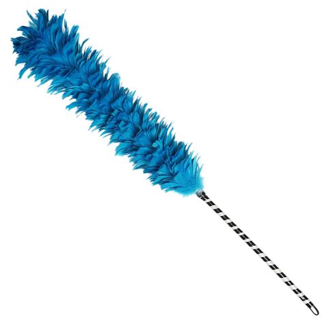 Feather Duster Clipart