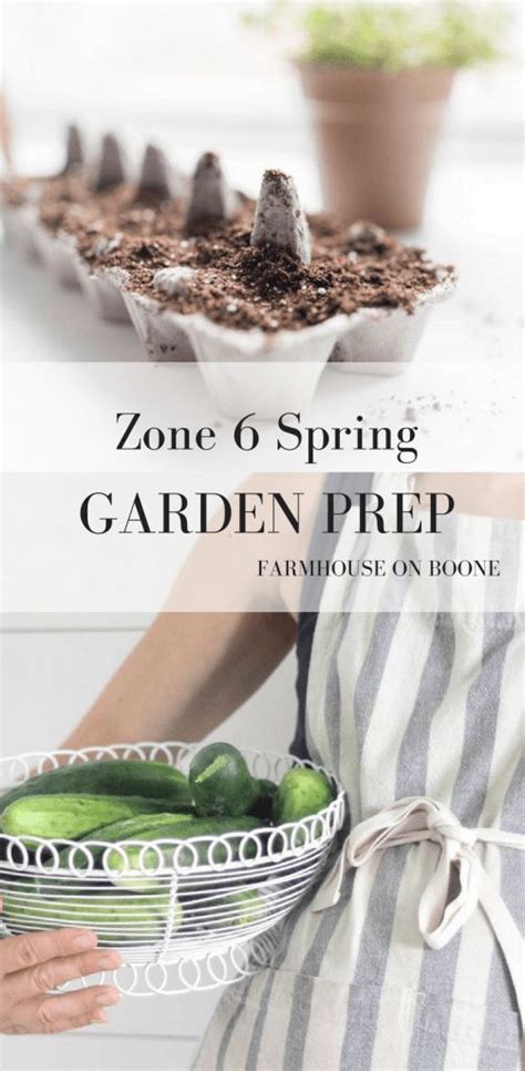 Zone 6 Spring Garden Preparation Starting Seeds Indoors Garden