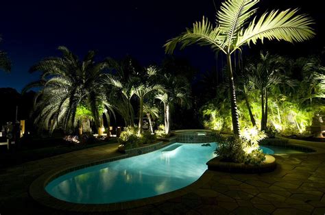 Pool With Palm Trees Palm Trees Landscaping Backyard Pool