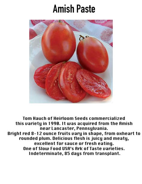 Tomato Amish Paste