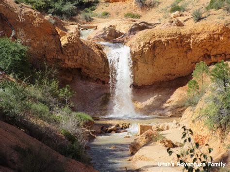 There are tons of other goofy things here too, like a cactus made of bowling balls and a bigfoot sighting. Mossy Cave (and Waterfall!) in Bryce Canyon - Utah's ...