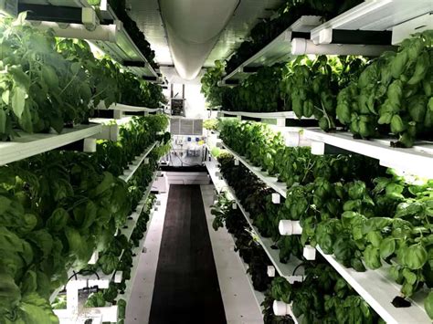why college campuses should consider container farming pure greens custom container farms