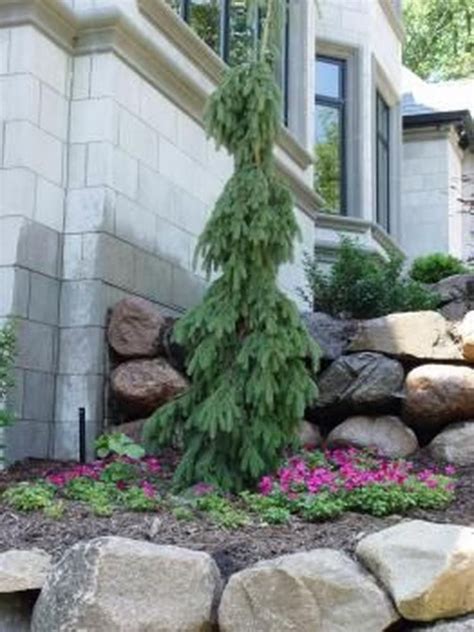 40 Amazing Evergreen Landscape Ideas For Front Yard Garden Page 40