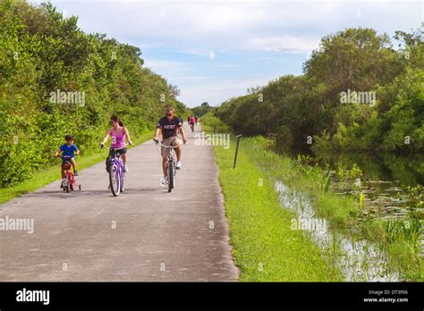 Miami Floridaeverglades National Parkshark Valleytram Tour Trail