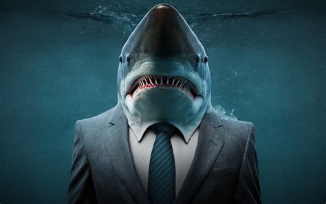 How To Find A Loan Shark Who Is Legitimate Insurance Noon