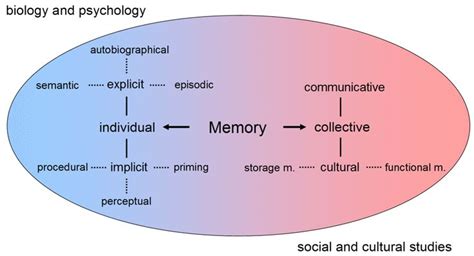 Memory Wikipedia Memory Psychology Types Of Memory Working Memory