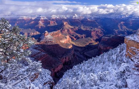 Canyon Snow State Of Arizona Grand Canyon National Park The United