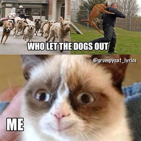 Rod fussy and sweet tides — who let the dogs out (2019). Who let the dogs out....Grumpy Cat | Grumpy Cat ...