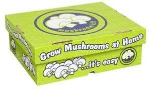 We did not find results for: Mushroom Growing Kit Portobello White Button $12 @ Masters ...