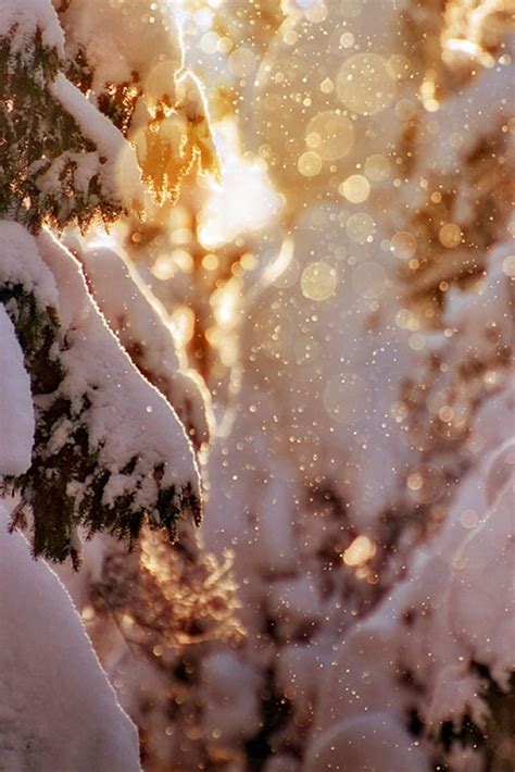 Sparkling Light Winter Scenes Winter Wonderland Winter Photography