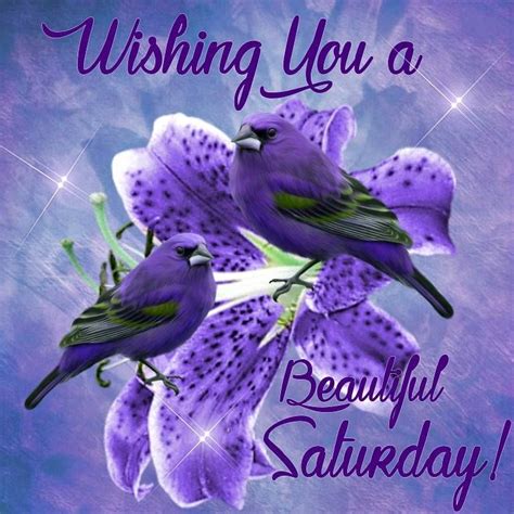 Wishing You A Beautiful Saturday Image Pictures Photos And Images For
