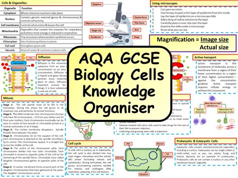 Ks Aqa Gcse Biology Science Cells Revision Knowledge Organiser Teaching Resources