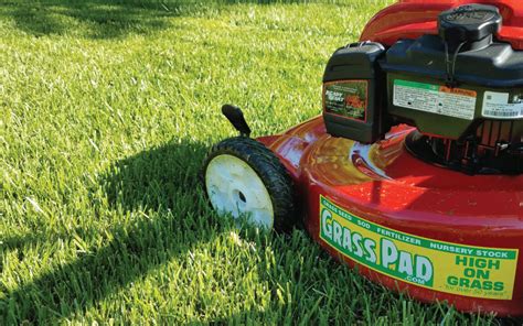 Is it bad to cut wet grass with lawn mower? Tips for Mowing Wet Grass - Grass Pad