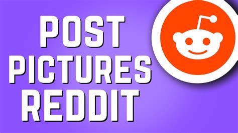 How To Post Pictures On Reddit Nl Today