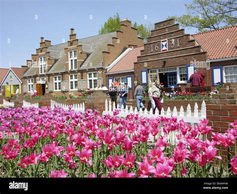 Holland Michigan USA Tulip Festival Tulip Flowers And Shops On Stock Photo Royalty Free