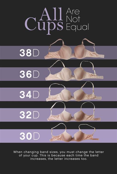 Cup Sizes Illustrated