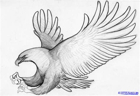 Easy Pencil Sketches How To Sketch An Eagle In Pencil Draw An Eagle Bird Step Pencil