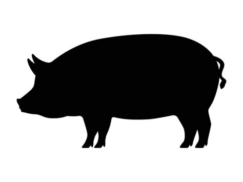 Pig Silhouette In Black — Stock Vector © Drgaga 176291286