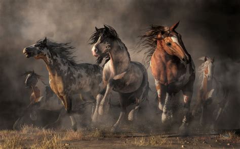 American Paint Horses By Deskridge American Paint Horse Horse