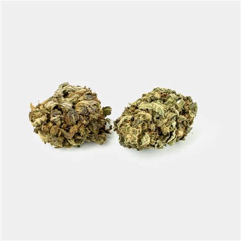 cbd aromablüte cbd blüte mango kush cbs stores