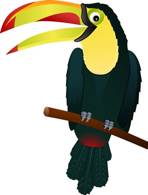 Tropical Bird Clipart Png Download Full Size Clipart 4998650