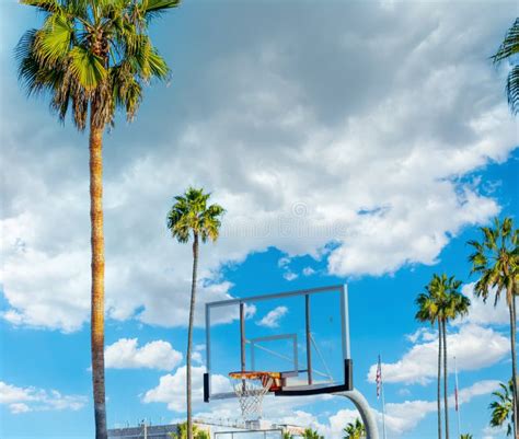 Basketball Hoop And Palm Trees In Venice Beach Under A Cloudy Sky Stock