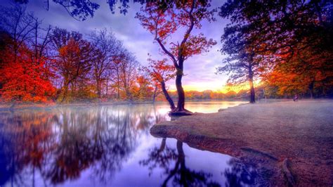 Red Yellow Autumn Trees Reflection On Calm Body Of Water During Sunset Hd Nature Wallpapers Hd