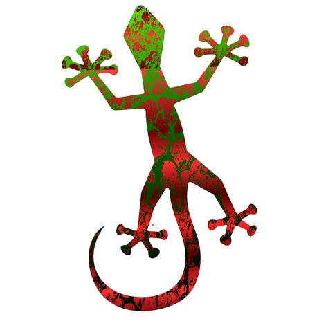 Gecko Png Transparent Image Download Size 1024x1024px